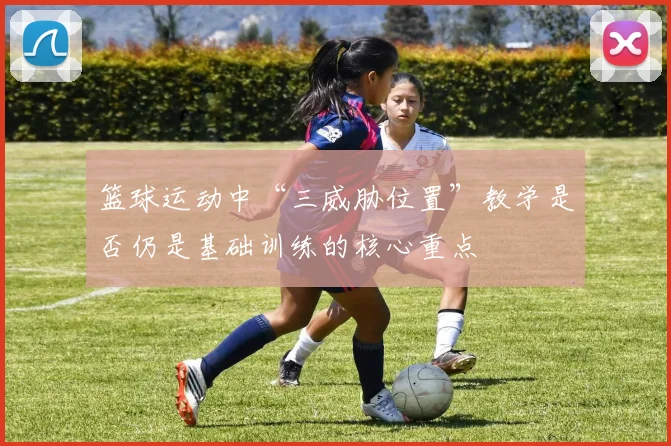 篮球运动中“三威胁位置”教学是否仍是基础训练的核心重点