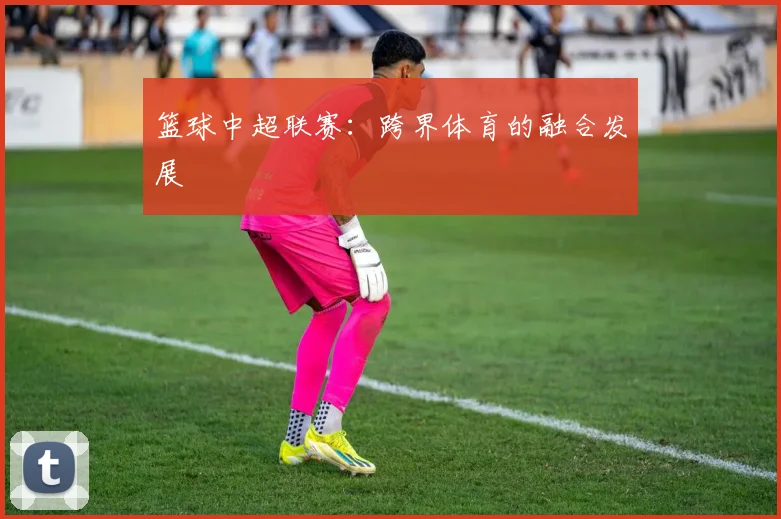 篮球中超联赛：跨界体育的融合发展